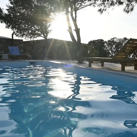 Art Natalie Two 公寓 基斯诺斯